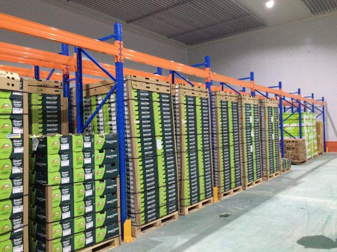 建造200噸火龍果水果保鮮冷庫(kù)需要多少錢?(圖1) 建造200噸火龍果水果保鮮冷庫(kù)需要多少錢?