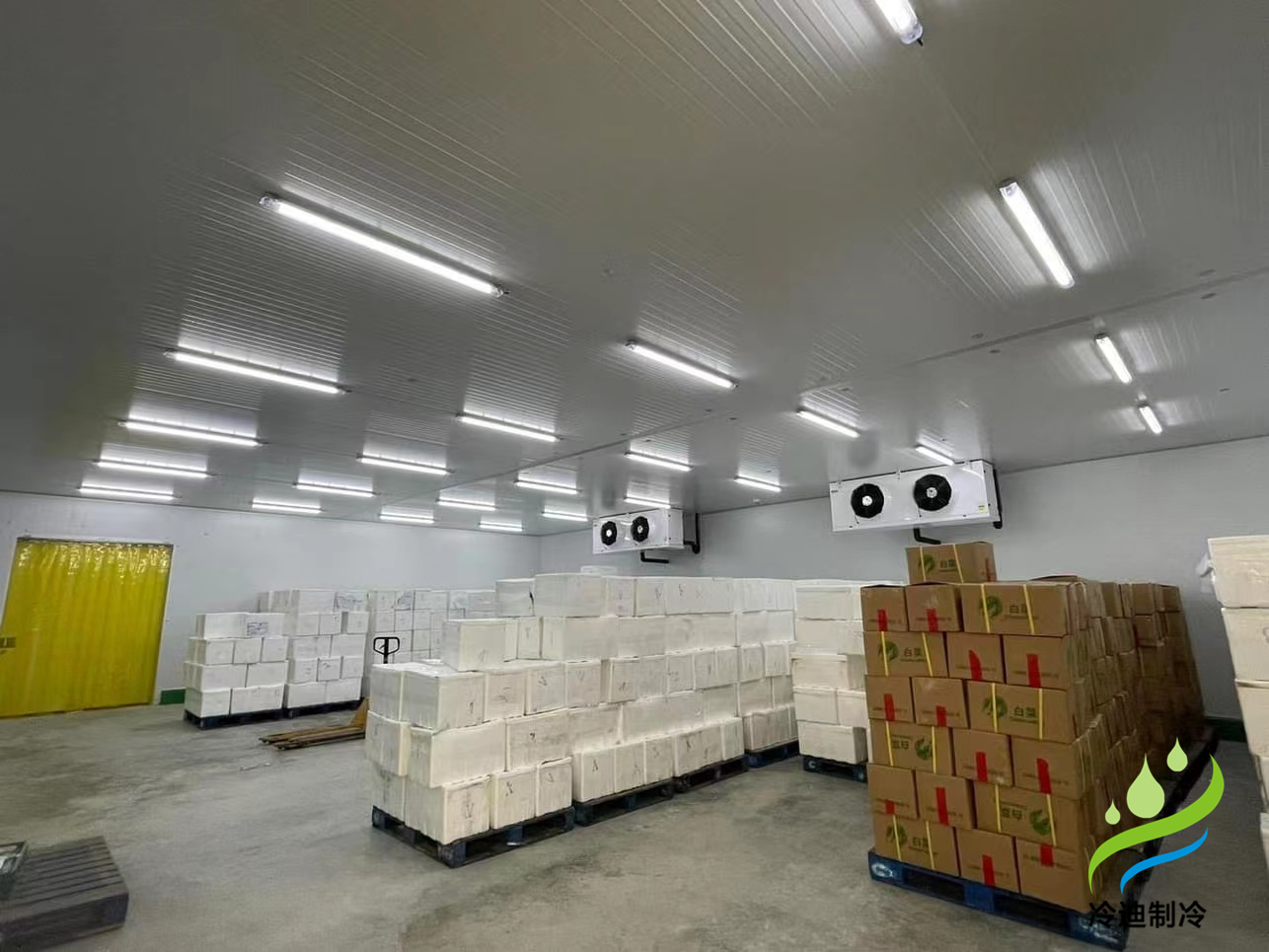 建造1000平方果蔬保鮮冷庫造價(jià)多少錢？