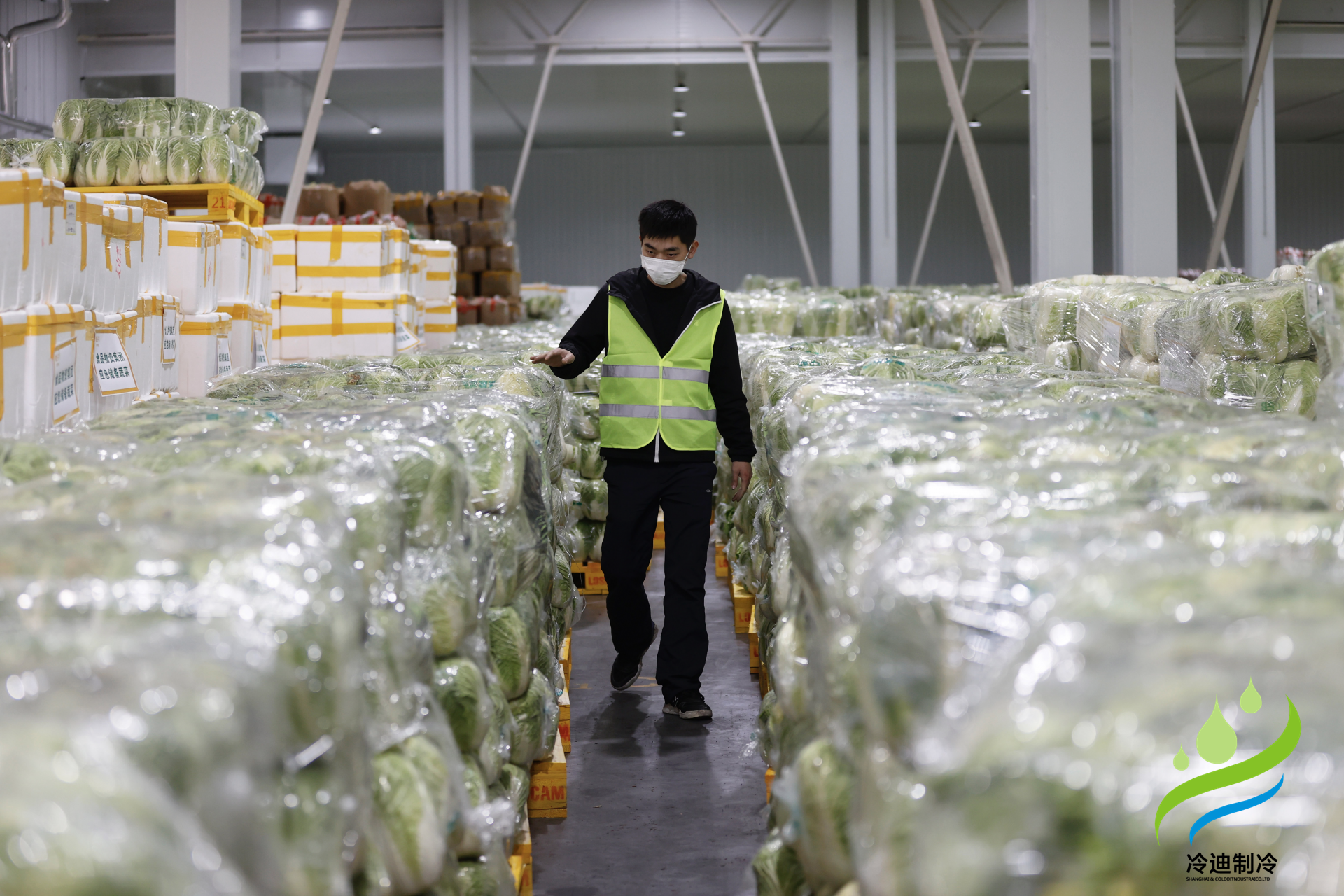 安裝一個生鮮冷鏈冷庫需要多少錢？(圖2)