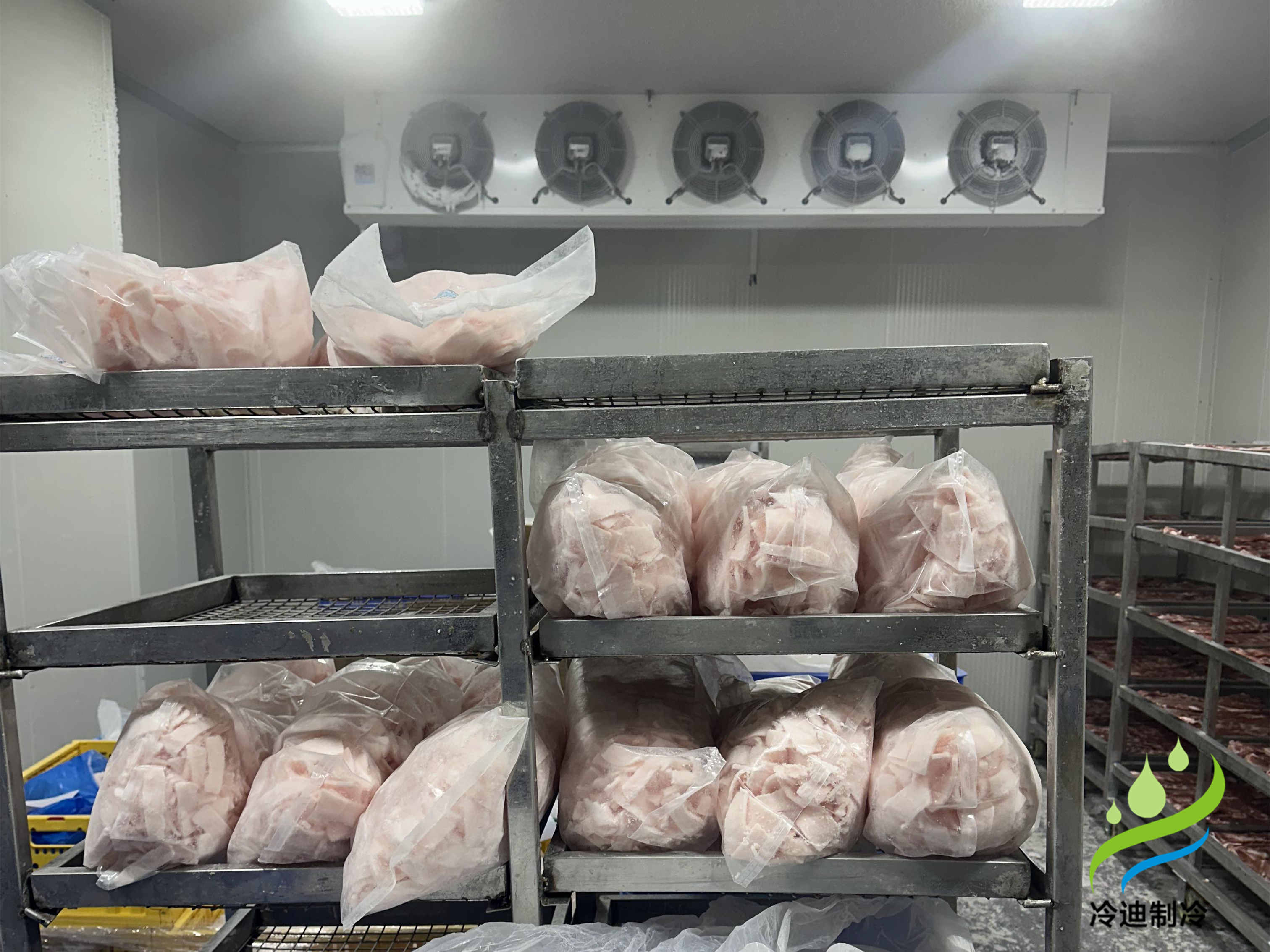 建造一座30噸冷庫造價需要多少錢？