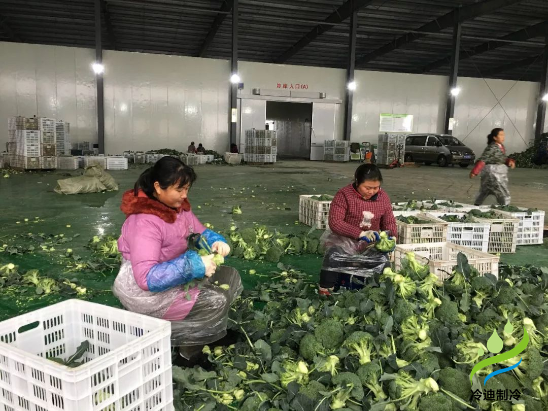 果蔬保鮮冷庫